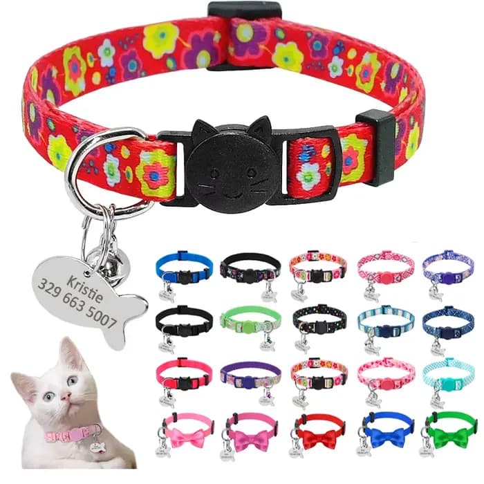 Collier en Nylon réglable pour chat gravé, étiquette d'identification personnalisée mignonne pour ch
