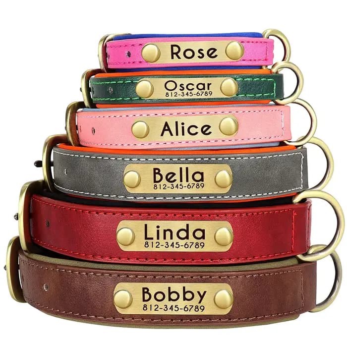 Ensemble de laisse de collier de chien en cuir personnalisé, collier en cuir rembourré souple pour p