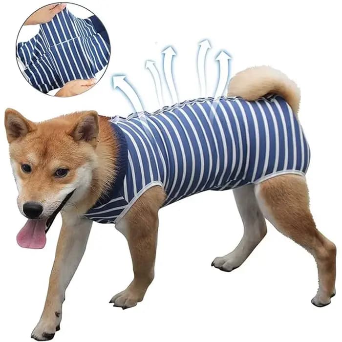 Combinaison de récupération pour chien, vêtements chirurgicaux pour plaies abdominales, Anti-léchage