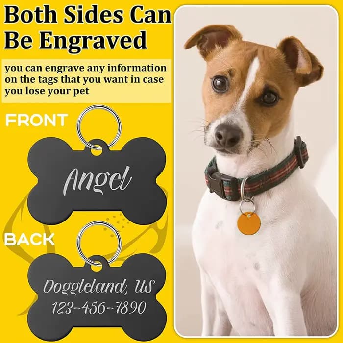 Étiquette d'identification pour chien et chat, gravure Laser gratuite, pendentif avec nom de chiot,