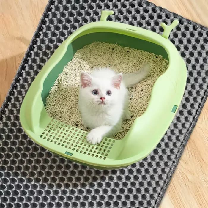 Tapis de litière pour chat, toilettes pour animaux de compagnie, imperméable, Double couche, boîte à
