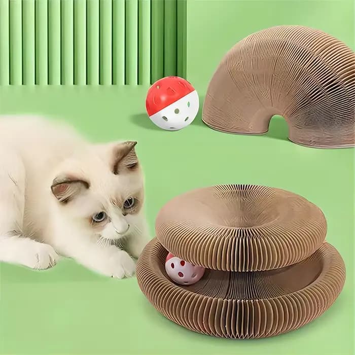 Planche à gratter pour chat, orgue magique pliable, jouet amusant, griffe de meulage, lit de couchag