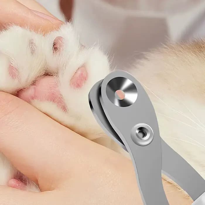 Ciseaux à ongles pour chat à trou circulaire, coupe-ongles professionnel pour chien de compagnie, co