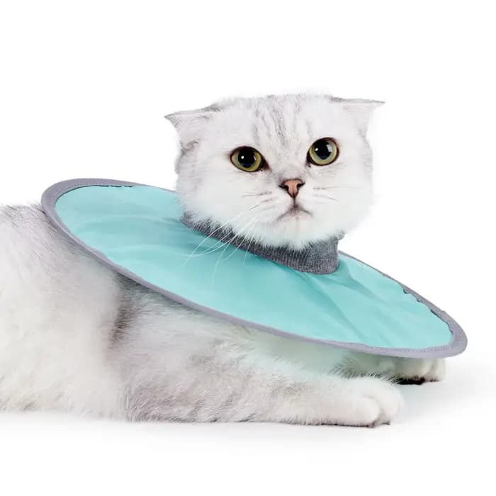 Collier de récupération pour animaux de compagnie, collier élisabéthain, collier de protection pour