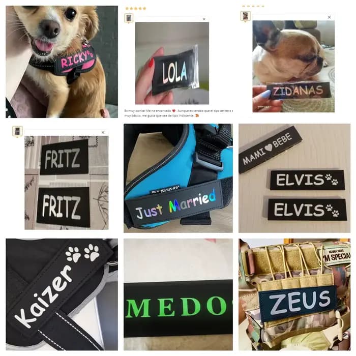Étiquette de nom de chien personnalisée, étiquette d'identification de harnais, réfléchissante color