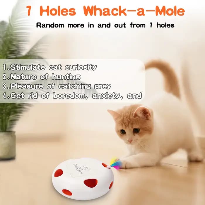INKZOO Jouets pour chats, jouets interactifs pour chats d'intérieur, jouet interactif intelligent po