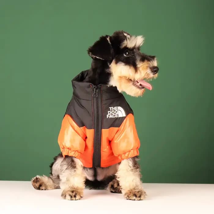 Vêtements d'hiver pour grands animaux de compagnie, veste coupe-vent chaude pour petit et moyen gaba