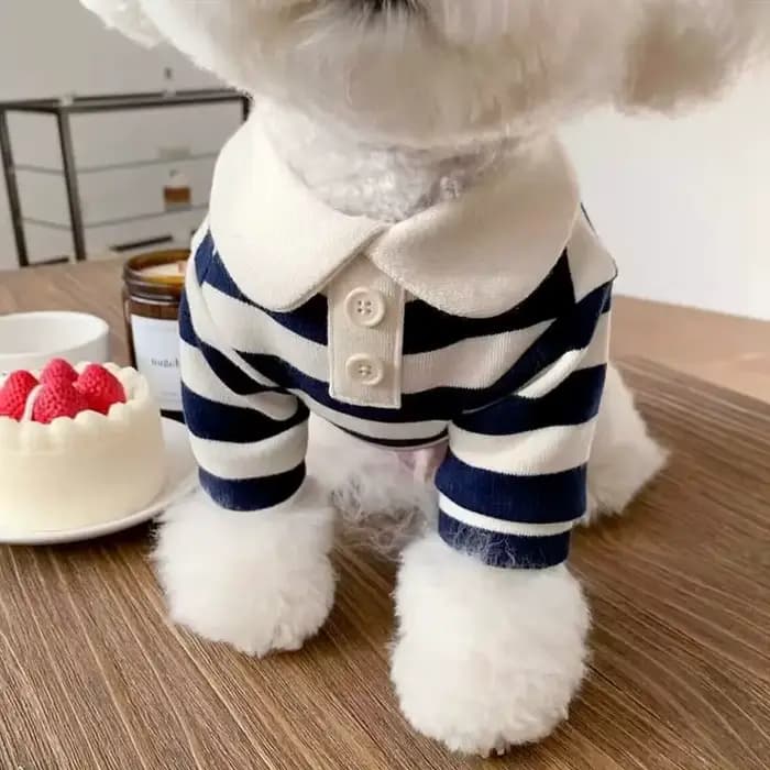 Polo d'été pour chiens, vêtements pour chiots, Bichon Frise, Chihuahua, sweat-shirt à rayures pour c
