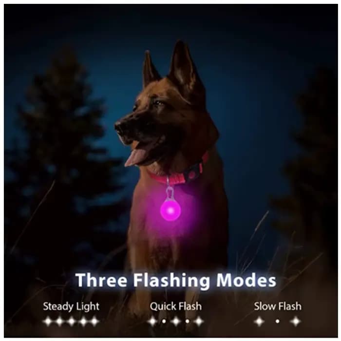 Collier lumineux LED réglable pour chien, rechargeable par USB, clignotant, anti-perte/anti-collisio