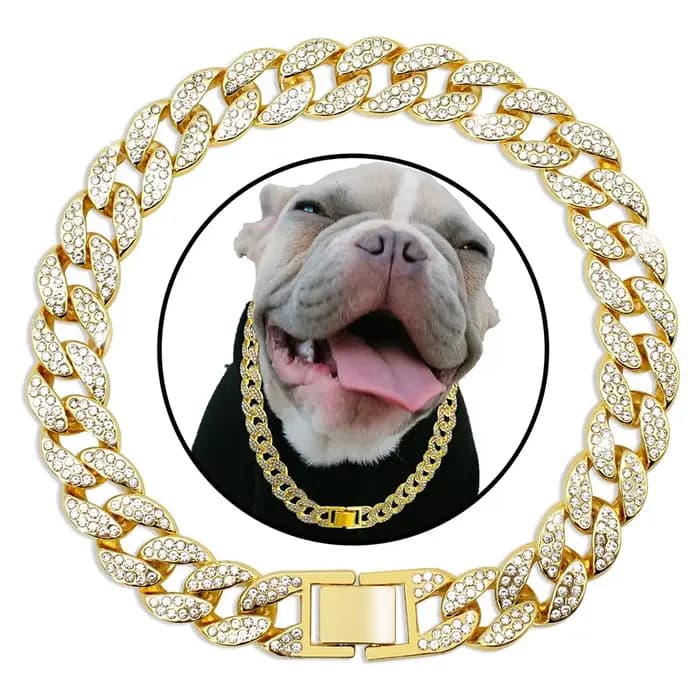 Collier de luxe en diamant pour chien, chaîne cubaine en or, collier en métal pour animaux de compag