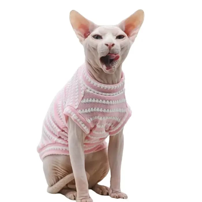 Chemise à fond rayé pour chat Sphinx, vêtements d'été mignons, vêtements respirants pour animaux de