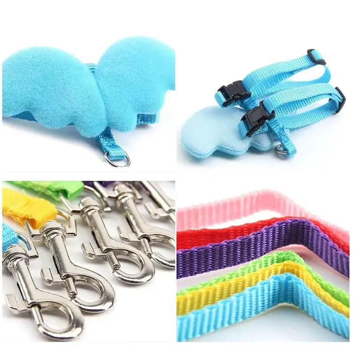 Ensemble harnais et laisse ailes d'ange pour animaux de compagnie, pour chats, chiots, lapin, mignon