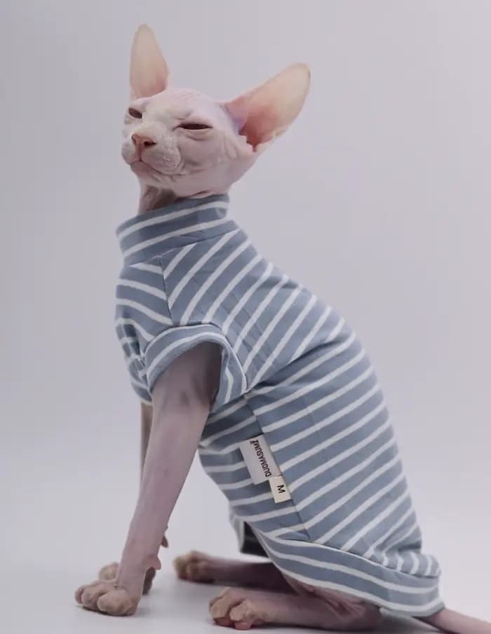Sphynx chat vêtements coton sans poils chat gilet bébé 100% coton doux été sans manches mince gilet