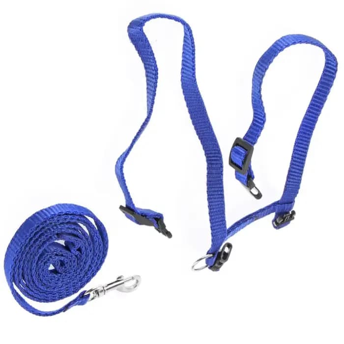 Harnais et laisse pour chat, harnais réglable avec sangle en nylon, cordes de sécurité pour chatons,