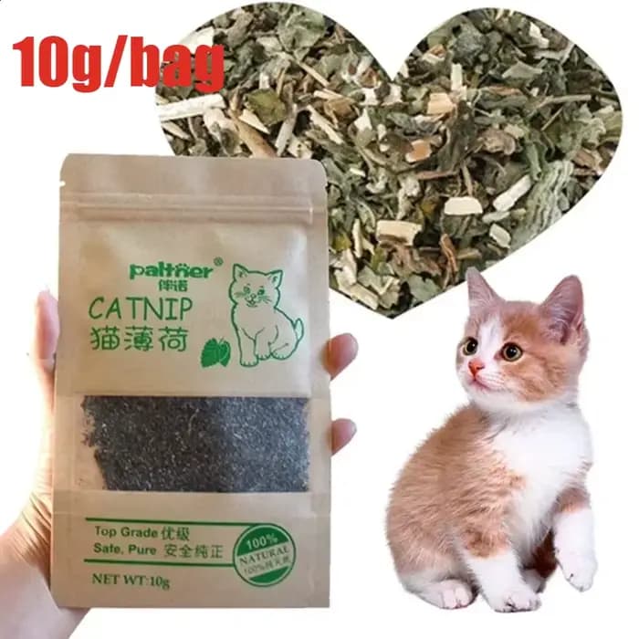 Herbe de bétail en herbe naturelle Premium, Non toxique, saveur de Menthol, fournitures amusantes po