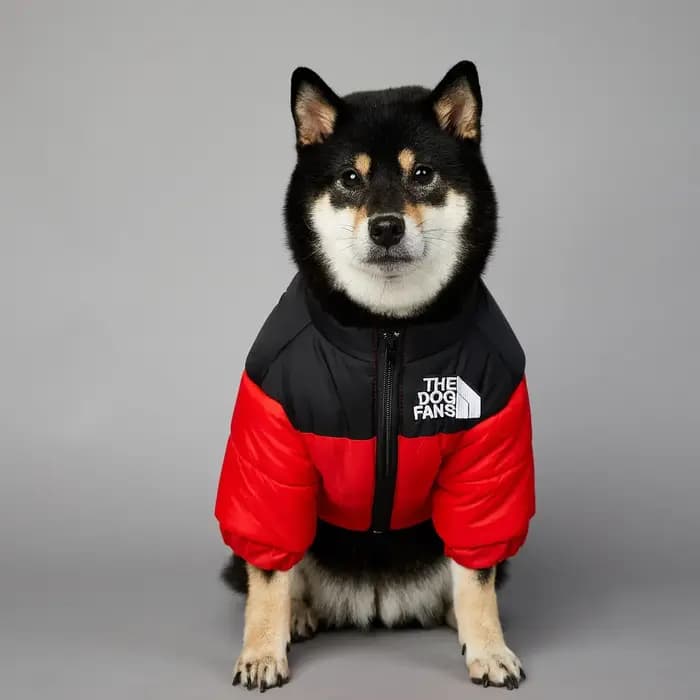 Les Fans de chiens hiver chien doudoune vêtements pour petits chiens moyens chaud épais chien gilet