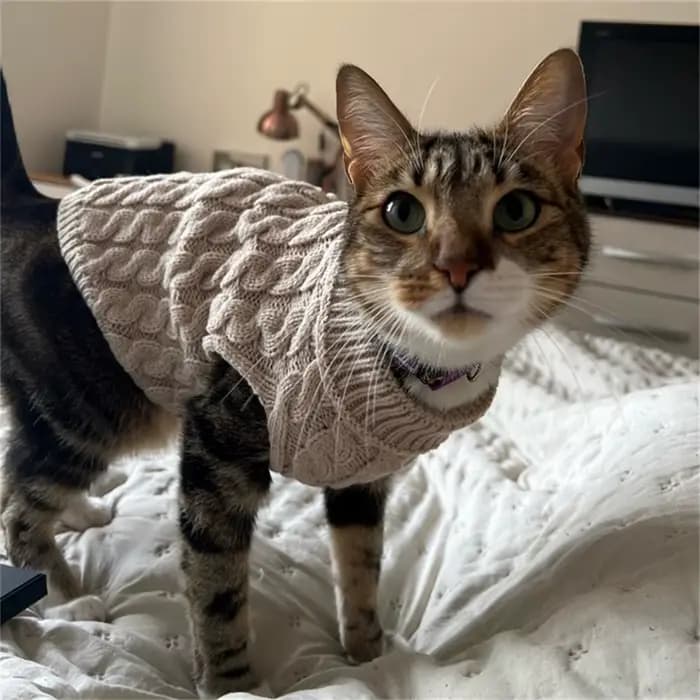 Chat chiot chandails automne hiver animal tricoté pull pull pour petits chiens chats chaton pulls Sp