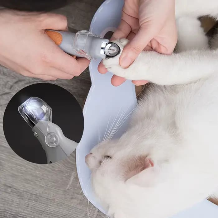 Coupe-ongles pour animaux de compagnie, lumière LED, avec fonction d'amplification, outil spécial po