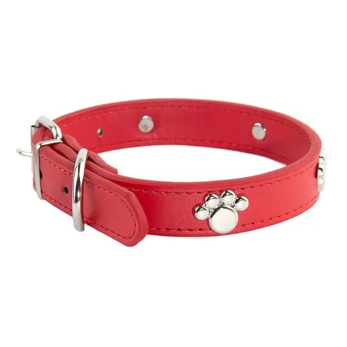 Colliers de chien de compagnie durables en cuir de patte colliers de carlin de chiot pour petit gran