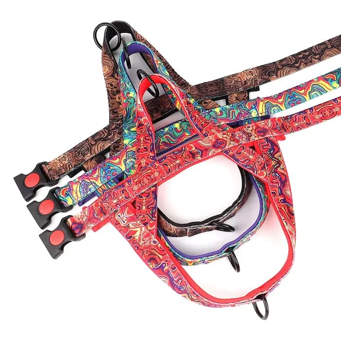 Harnais en Nylon pour chien, sans traction, gilet doux rembourré, gilets de marche pour animaux de c