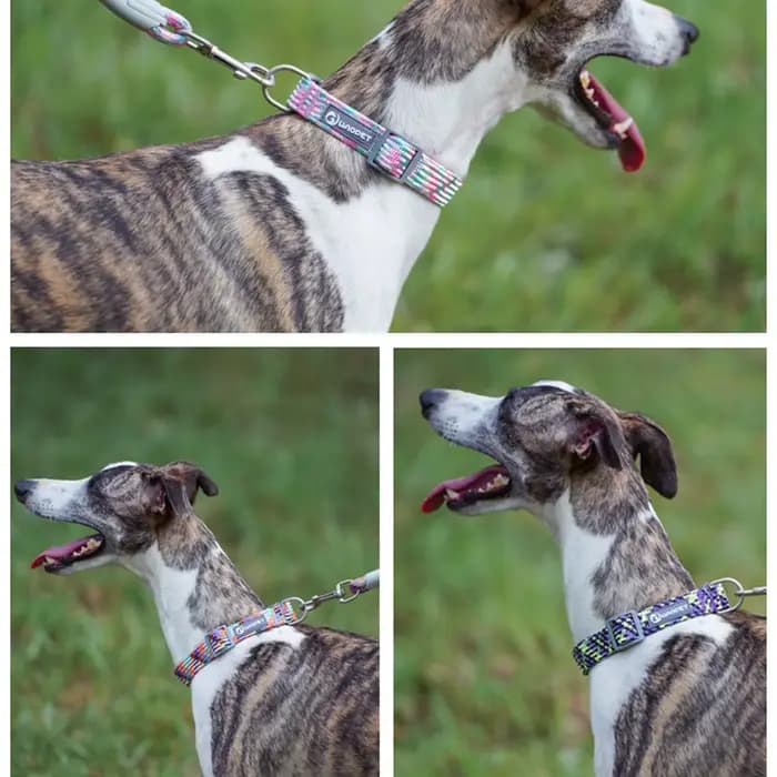 Collier réglable en nylon moulé pour animaux de compagnie, anneau de tour de cou pour chien, chiot,