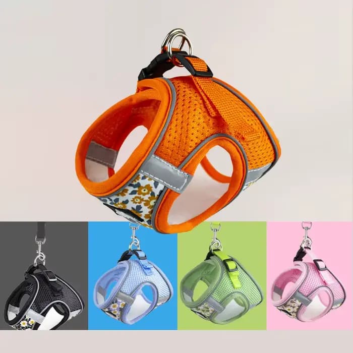 Harnais et laisse en maille de Nylon pour chat, harnais respirant pour chaton, petit chien, chiot, b