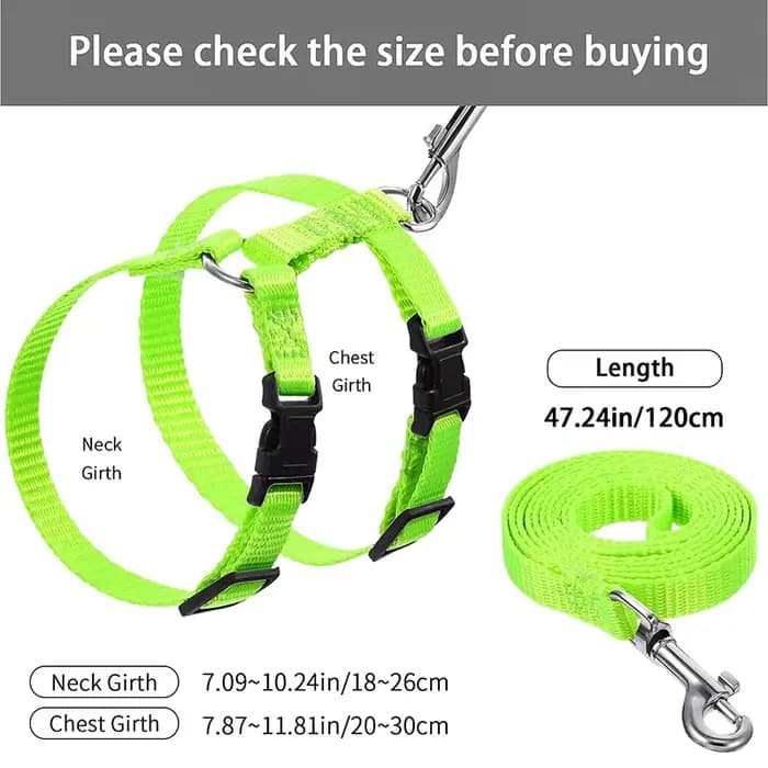 Ensemble harnais et laisse pour chat Sphynx bon marché, harnais pratique pour animaux de compagnie,