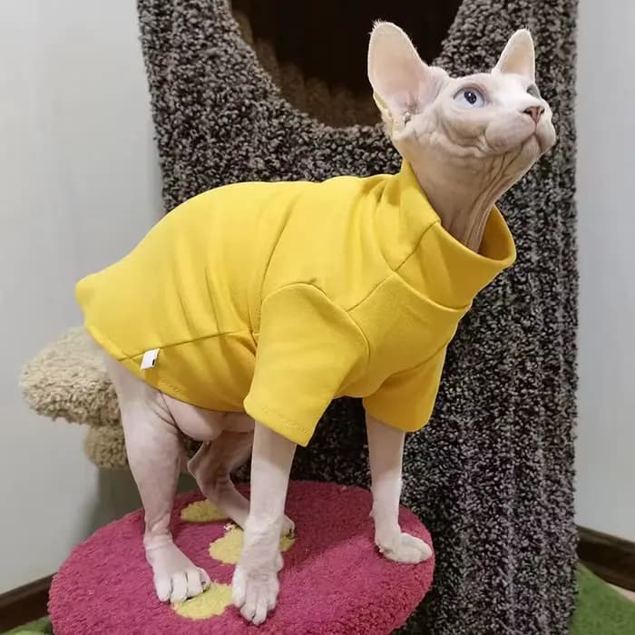 Vêtements d'hiver épais pour chat Sphynx, vêtements pour petits chiens et chats, pull doux et chaud,