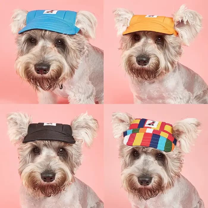 Chapeau en toile réglable pour chien, chapeau de baseball pour chiot, crème solaire de sport, casque