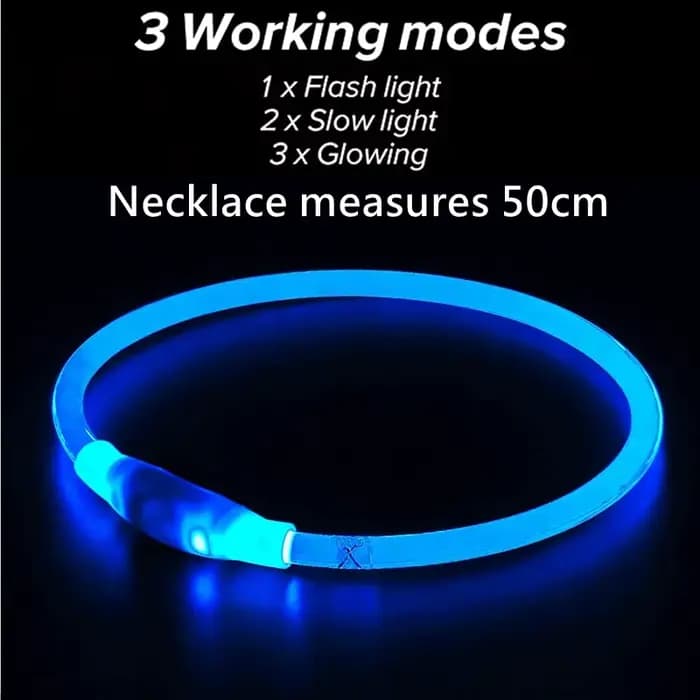 Collier de chien Led Usb collier de Charge lumineux de nuit pour chien de compagnie Led sécurité noc
