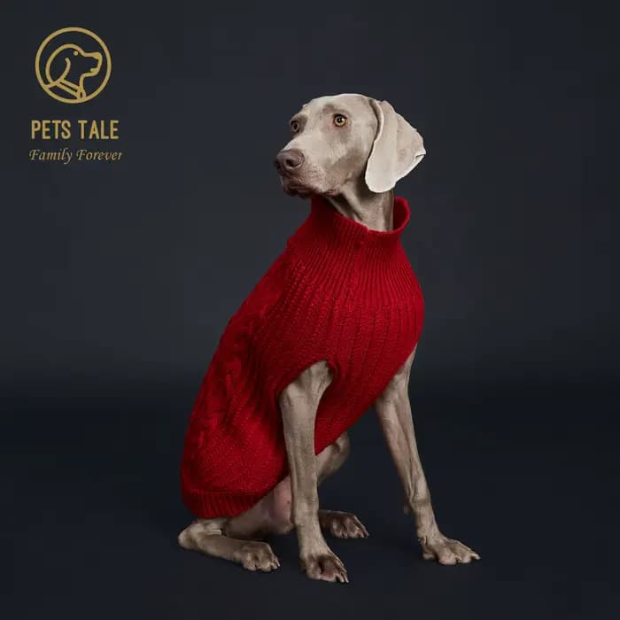 Pull tricoté confortable pour animaux de compagnie pour l'hiver – Gardez votre chien au chaud et élé