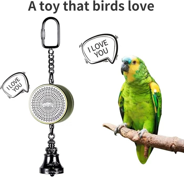 Jouet oiseau Jouets de perroquet à l'enseignement de la formation Entraîneur parlant d'oiseau Enregi