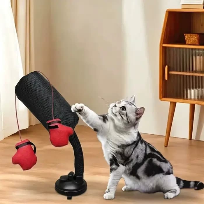 Jouet de combat pour chat en forme de dessin animé avec gants de boxe et ventouse, jouet d'intérieur