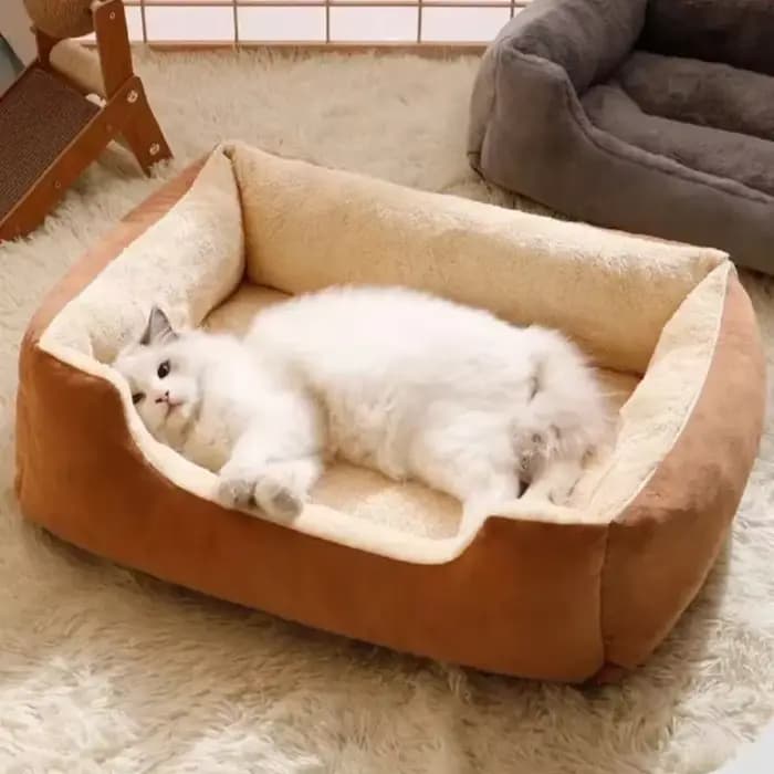 Nouveau lit pour chats, produits pour animaux de compagnie, coussins, articles pour chatons, accesso
