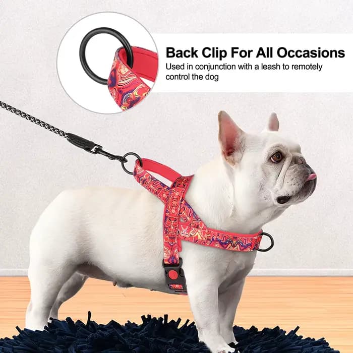 Harnais en Nylon pour chien, sans traction, gilet doux rembourré, gilets de marche pour animaux de c