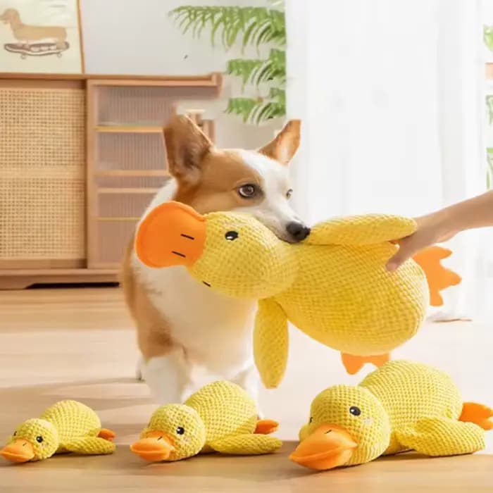 Peluche Canard Jaune pour Chien, Compagnon de Sommeil, Jouet Interactif pour Animaux, Poupée Anti-en