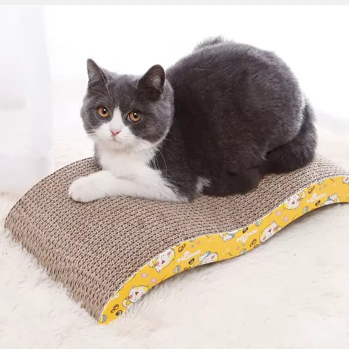 Jouets pour chat grattoir pour chat affûtage griffe carton carton ondulé planche à gratter pour chat