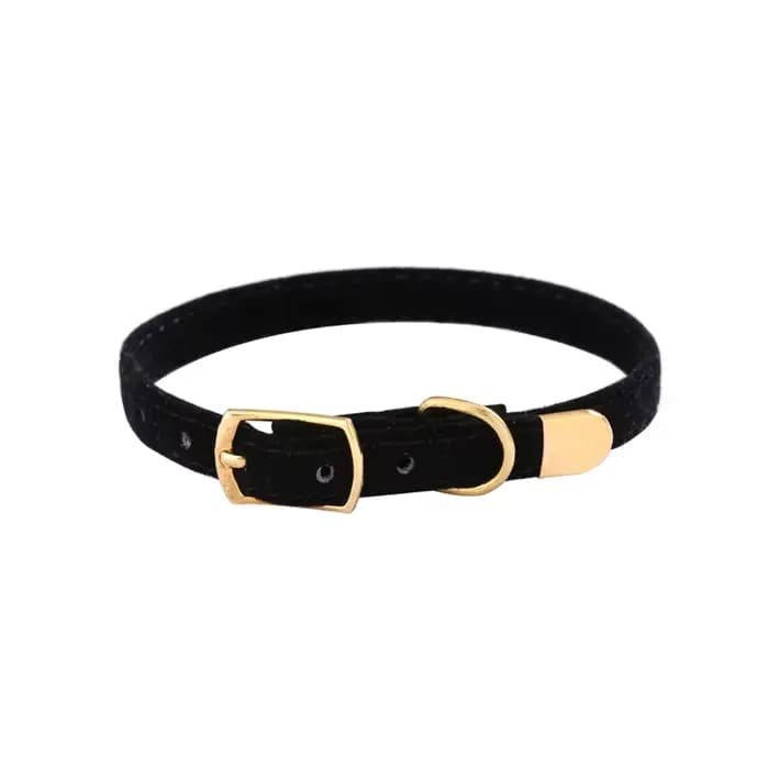 Collier de flocage pour animal de compagnie, fournitures pour chat, chaton, petit chien, produits Ch