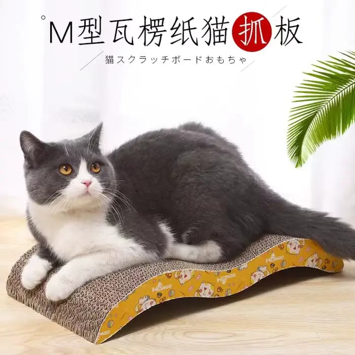 Planche à Gratter Ondulée pour Chat, Plaque à Griffes de Meulage + Tampon de Papier à Cataire, Cadre