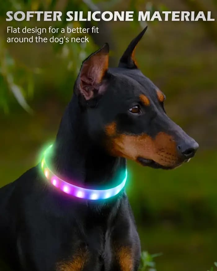Collier léger rechargeable par USB pour chiens de grande, moyens et petits, collier pour chien lumin