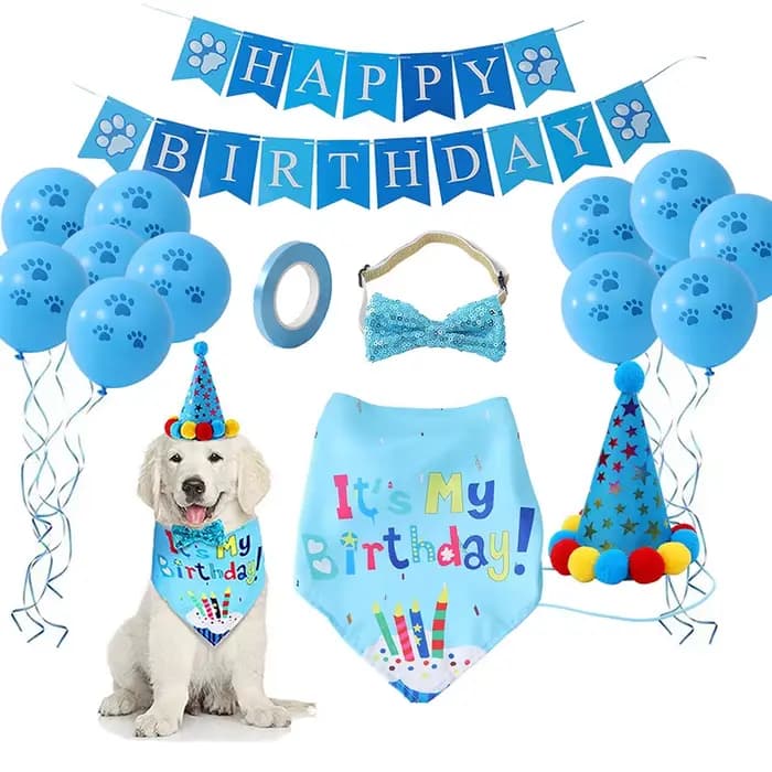 Ensemble de ixd'Anniversaire pour Animaux de Compagnie, Ballon, Bandana, Chapeau, Nministériels d Pa