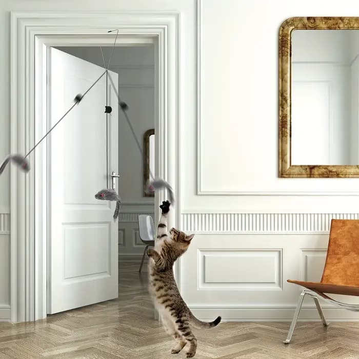 Jouet de souris coule réglable pour chat, jouet rétractable, ULà gratter pour chaton drôle, 2 pièces