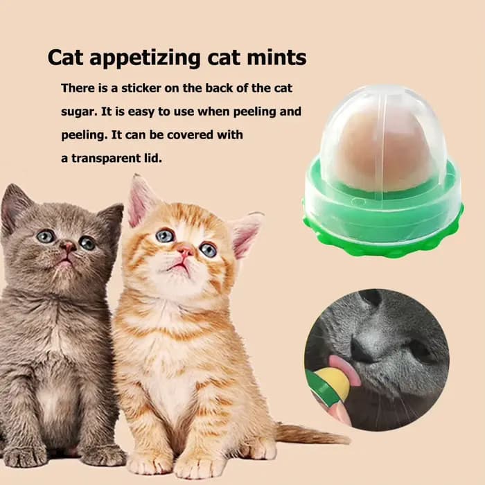 Bonbons léchant l'herbe à chat pour chaton, augmentation du sucre, boule d'énergie potable, collatio