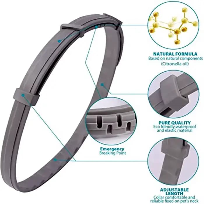Collier extensible anti-puces pour animaux de compagnie, personnalisé, anti-puces et tiques, grand c