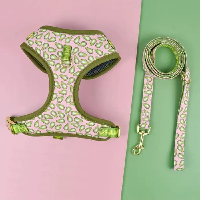 Harnais pour animaux de compagnie, cadeau de saint-valentin et du nouvel an, Design mignon, réglable