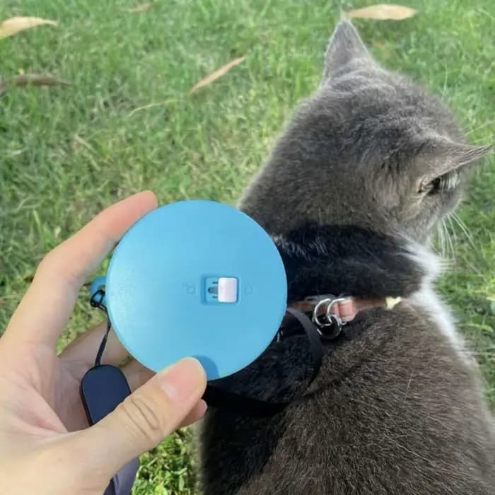 Laisse rétractable automatique pour petit et moyen chien, produit pour animaux de compagnie, flexibl