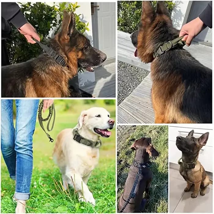 Ensemble collier et laisse tactiques militaires pour chien, collier durable pour animaux de compagni