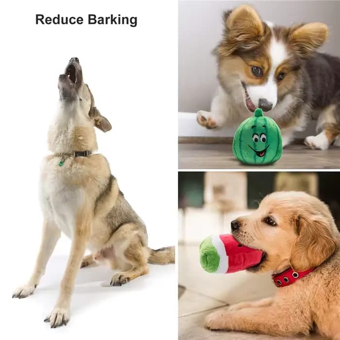 Jouets en peluche grinçants pour chiens, 10/20/50 paquets, jouets en peluche mignons pour petits et