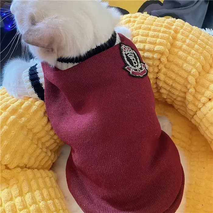 Pull tricoté pour chien de compagnie, vêtements pour petits et moyens chiens, uniforme scolaire remb