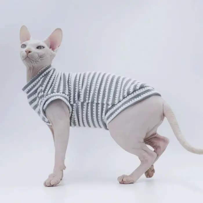 Chemise à fond rayé pour chat Sphinx, vêtements d'été mignons, vêtements respirants pour animaux de